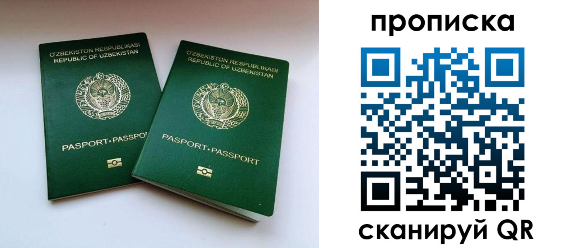 прописка поиск в Сосновке